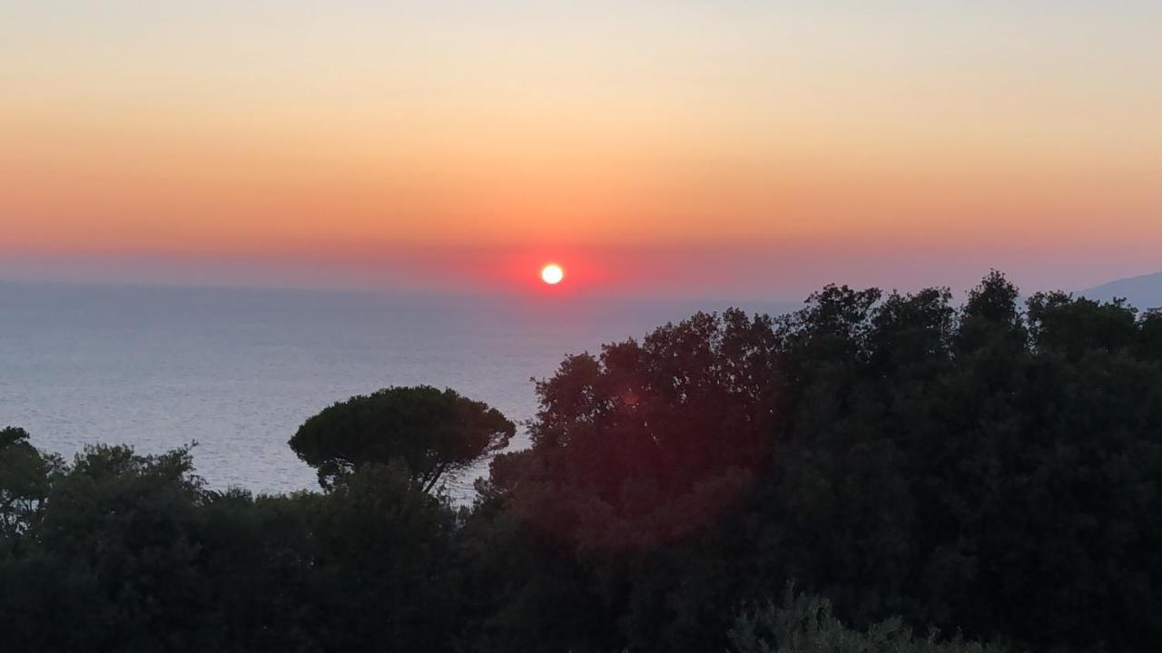 La Draghina B&B Capri Anacapri  Bagian luar foto